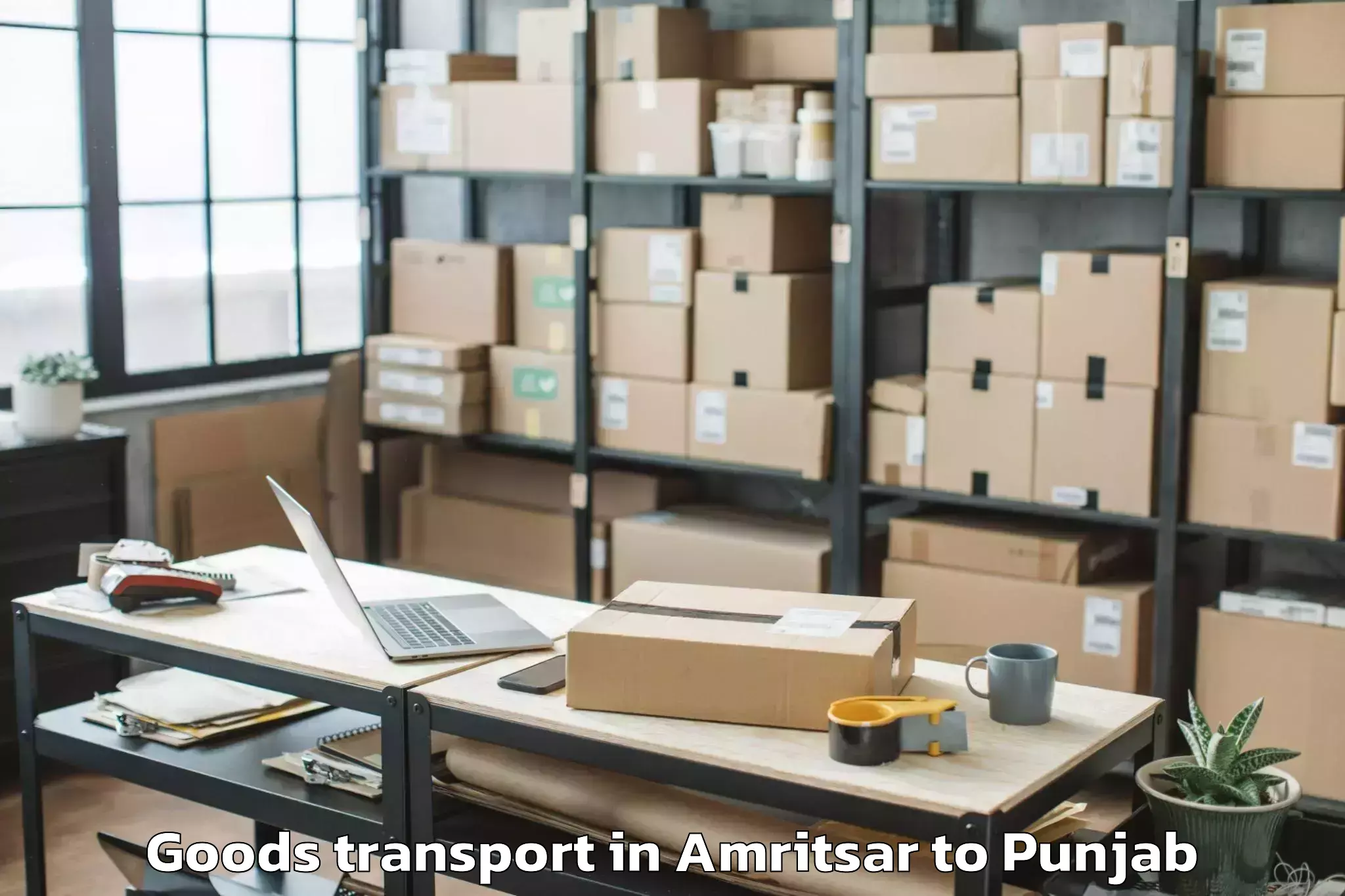 Affordable Amritsar to Sri Guru Ram Das University Of Goods Transport